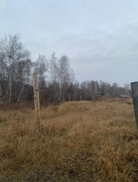 Фото квартиры 2