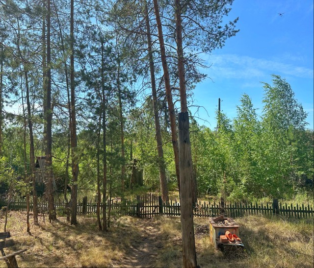 Фото квартиры 2