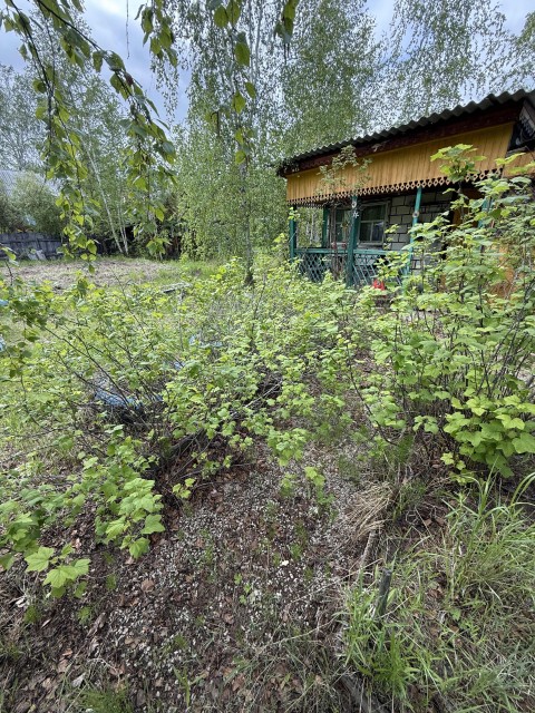 Фото квартиры 3