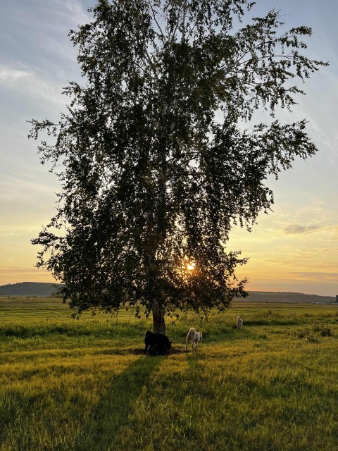Фото квартиры 2