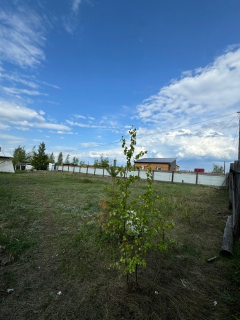 Фото квартиры 3