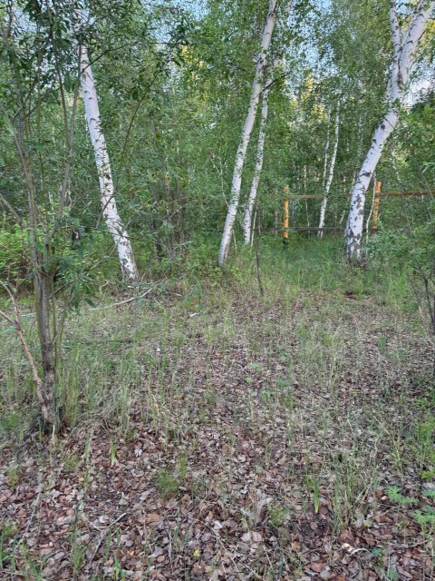 Фото квартиры 2