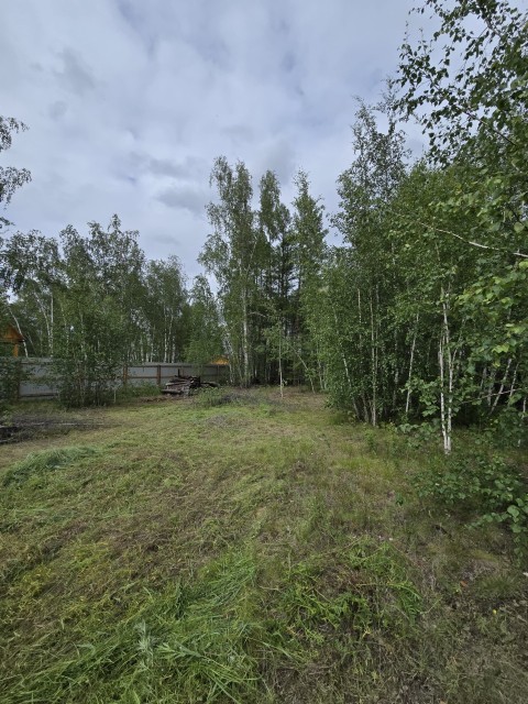 Фото квартиры 3