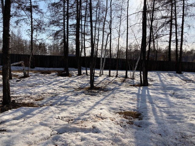 Фото квартиры 3