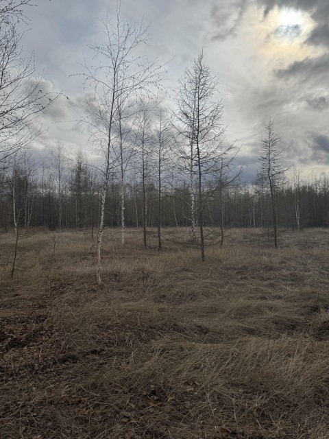 Фото квартиры 3