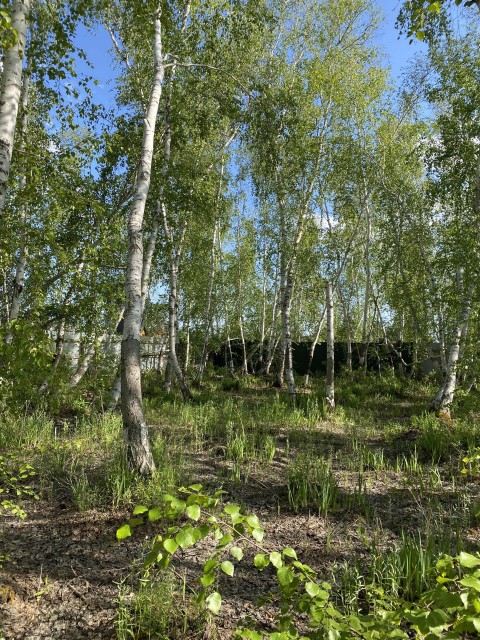 Фото квартиры 2
