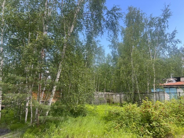 Фото квартиры 3