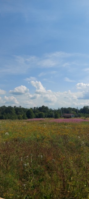 Фото квартиры 3
