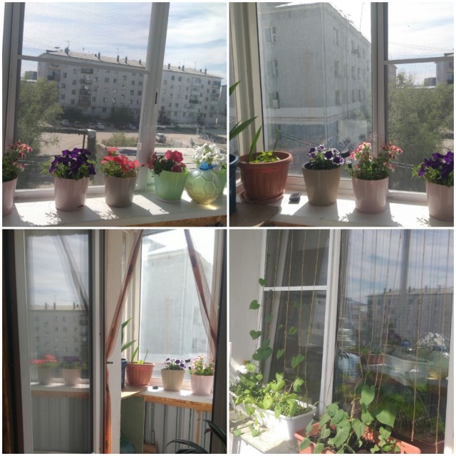Фото квартиры 3