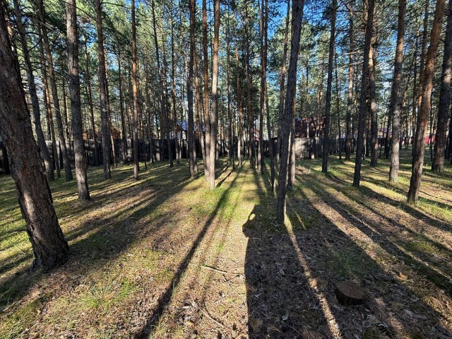 Фото квартиры 3