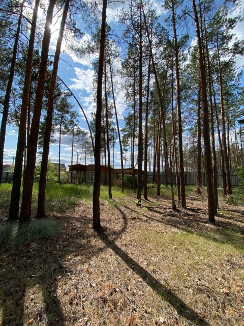 Фото квартиры 2