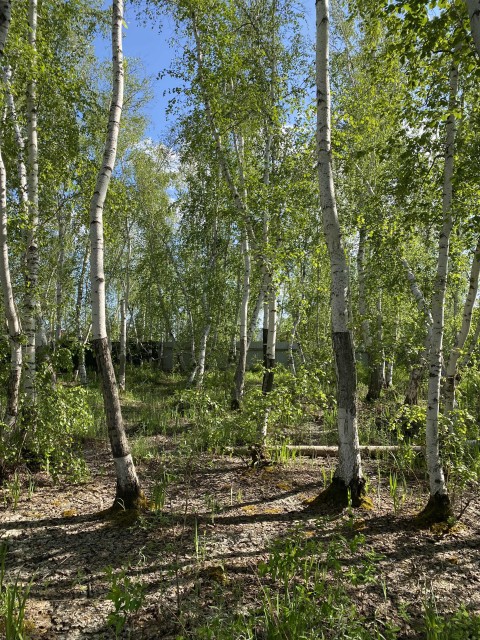 Фото квартиры 3