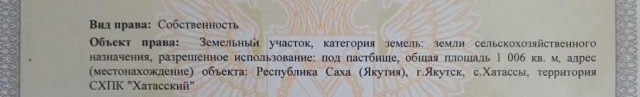 Фото квартиры 2