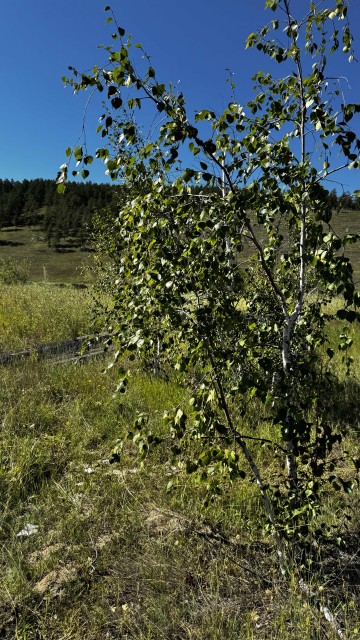 Фото квартиры 4