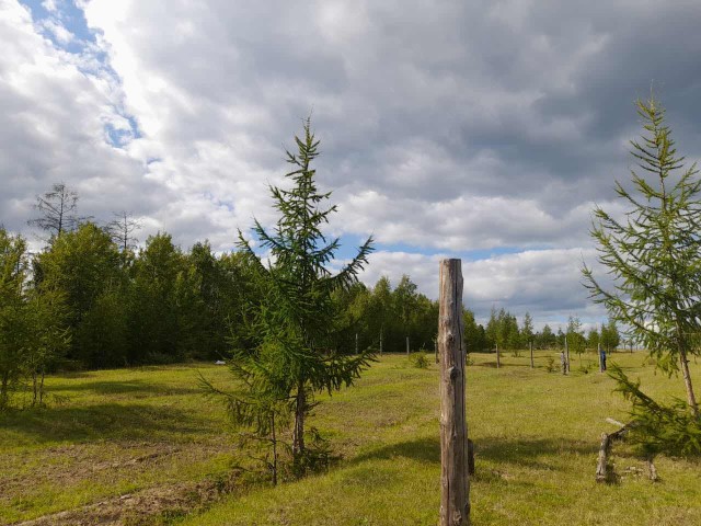 Фото квартиры 3