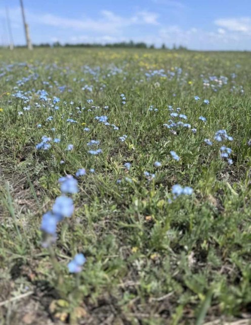 Фото квартиры 2