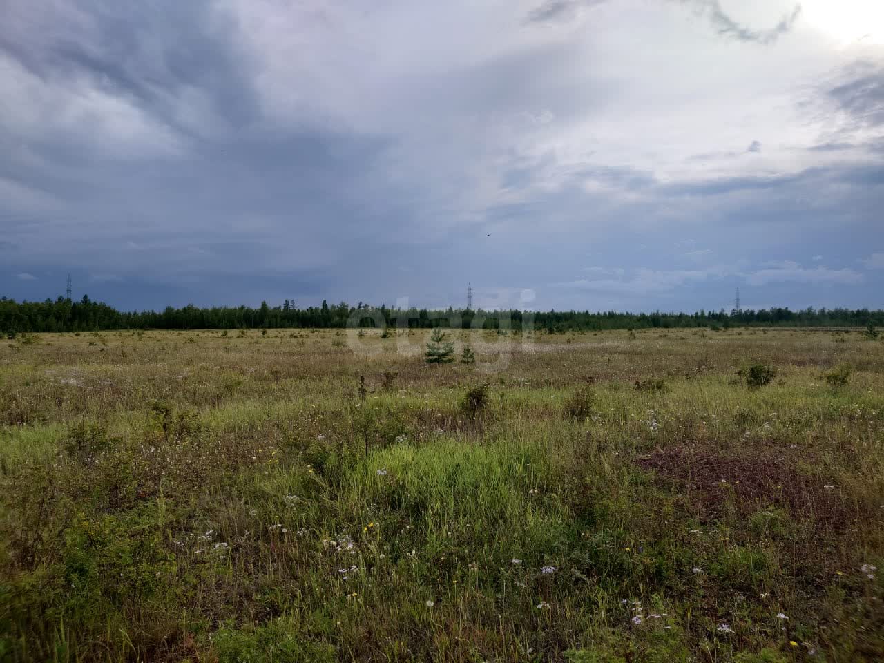 Фото квартиры 3