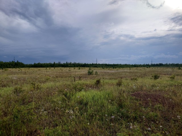 Фото квартиры 3