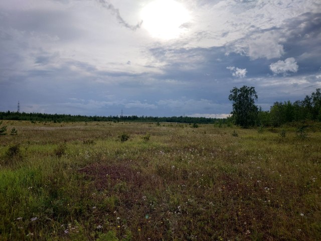 Фото квартиры 2
