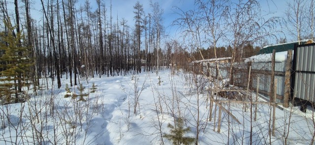 Фото квартиры 3