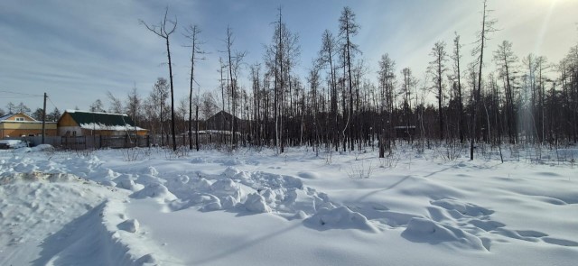 Фото квартиры 4