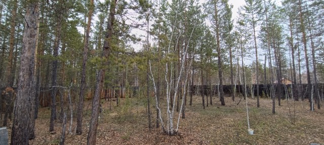 Фото квартиры 3