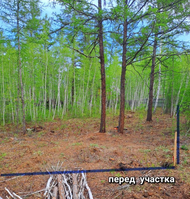Фото квартиры 3